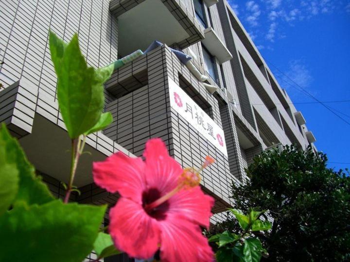 Shimayado Gettoya Ishigaki  외부 사진